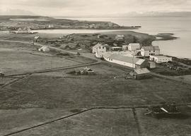 Sláturhúshverfið 1946