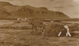 Heyvinna í Saltvík um 1940