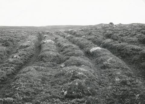 Original Stafræn eining not accessible