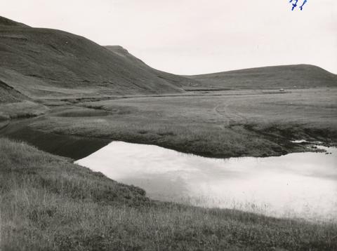 Original Stafræn eining not accessible