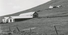 00952-Vatnshlíð Bólstaðarhlíðarhreppi