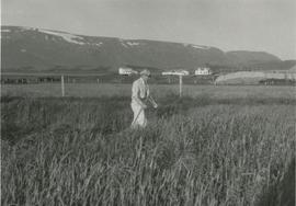 12994-Sveinn Ellertsson (1912-1983) við Kleifa (4).