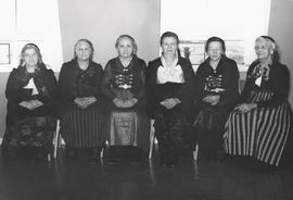 Vistkonur á Héraðshælinu