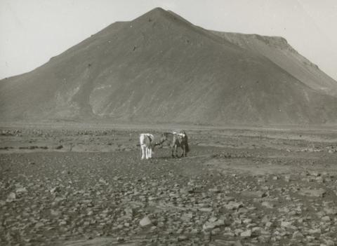 Original Digital object not accessible