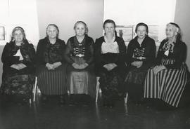 Vistkonur á Héraðshælinu