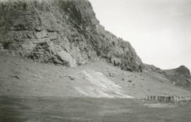 Skreiðartrönur við Hástein, Vestmannaeyjar
