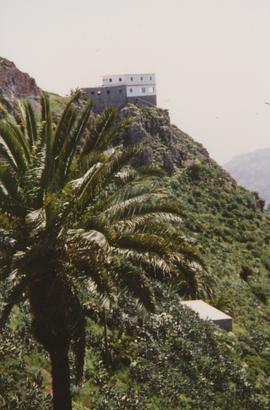 1403-Tenerife 1988