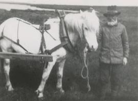 Jón Jónasson (1857-1933) Haga í Þingi