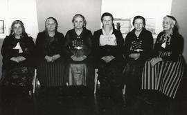 Vistkonur á Héraðshælinu