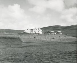 Björnólfsstaðir í Langadal 1962, byggt 1929 (1)