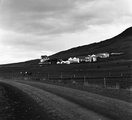 Sfilm-075-Geitaskarð í Langadal (11).