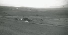 Stóra-Búrfell 1956