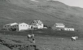 00852-Fremstagil Engihlíðarhreppi