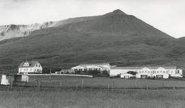 00851-Geitaskarð Engihlíðarhreppi