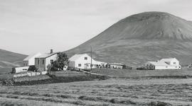 00867-Neðri-Mýrar Engihlíðarhreppi